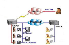 中商网络 上海网络服务的领航者